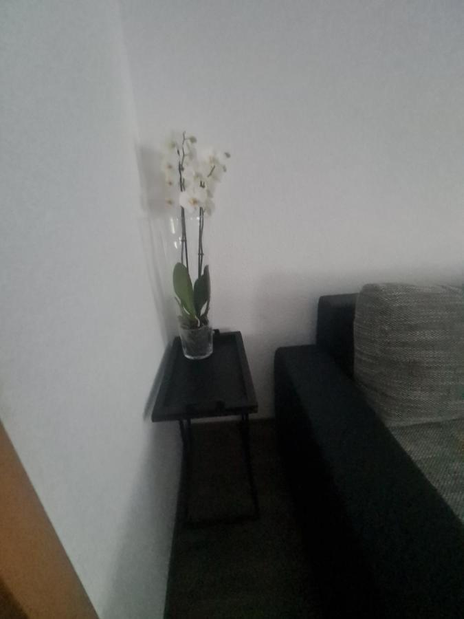 شقة Paula Haus ترير المظهر الخارجي الصورة